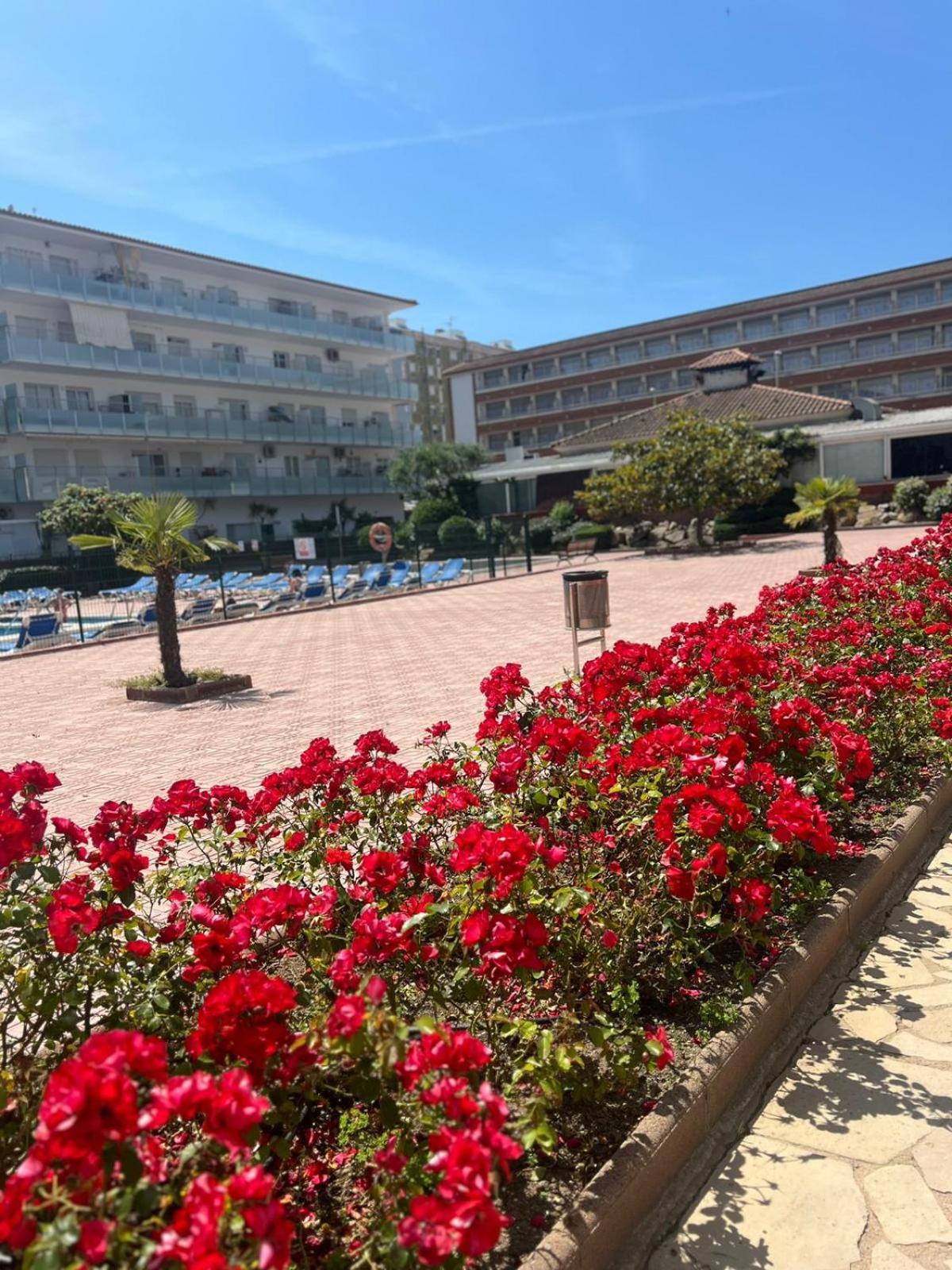 Apcostas Els Pins Lotus Apartment Blanes Luaran gambar